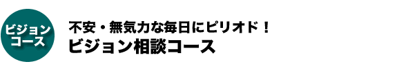 ビジョン相談コース